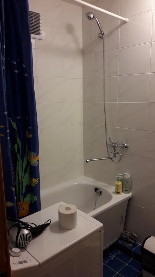 Grazinos Apartamentai Panevėžys エクステリア 写真