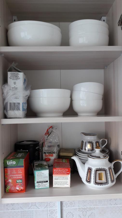 Grazinos Apartamentai Panevėžys エクステリア 写真