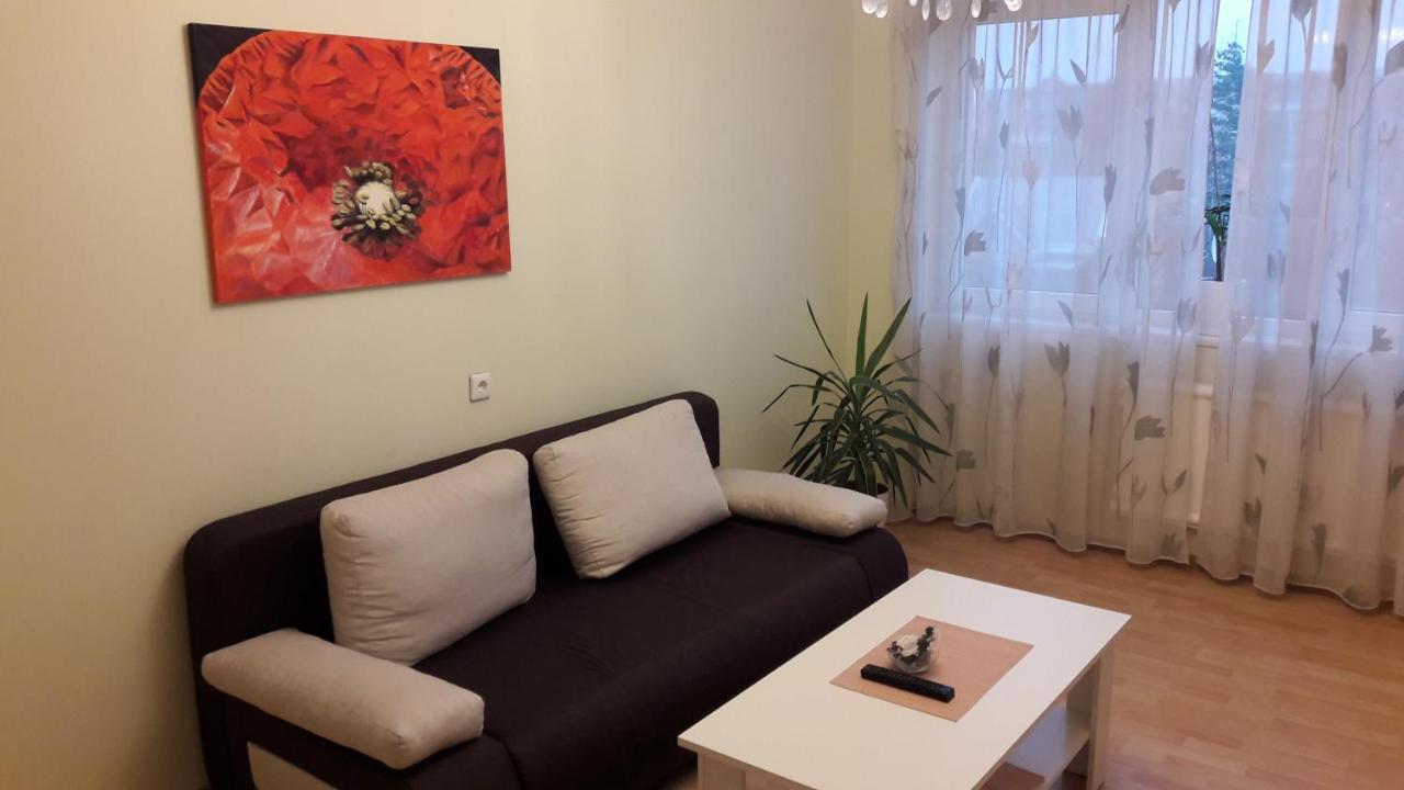 Grazinos Apartamentai Panevėžys エクステリア 写真